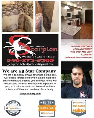 Scorpion Mold Abatement Logo