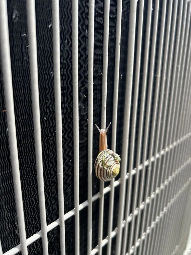 Slide of Screen Saver Home Repair