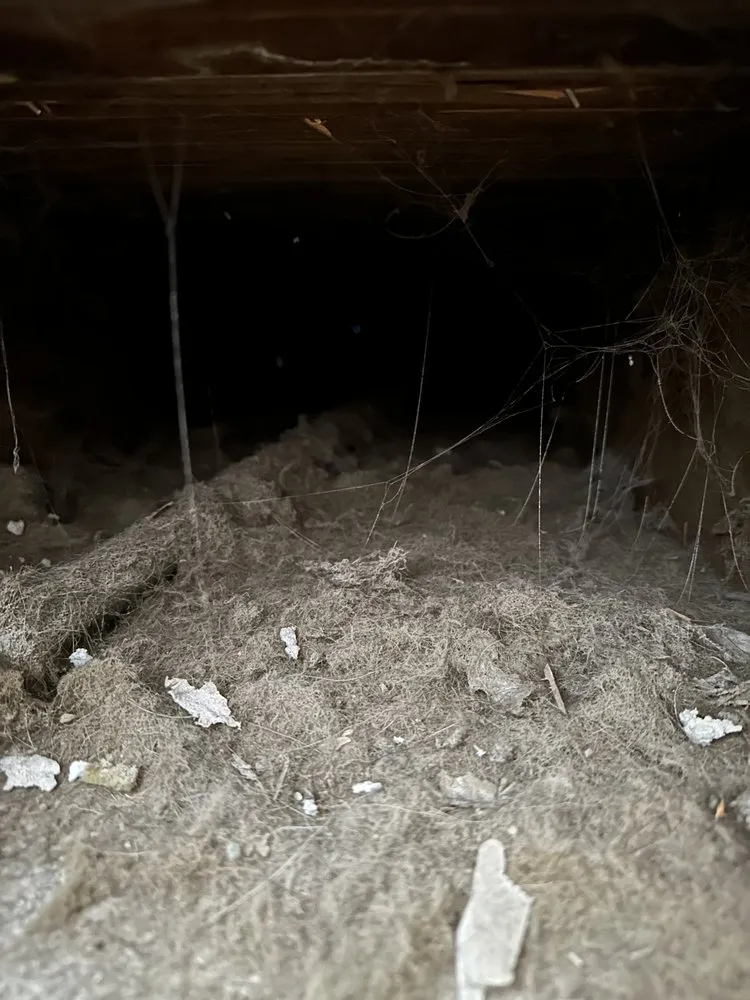 Slide of Scrubber Ducts