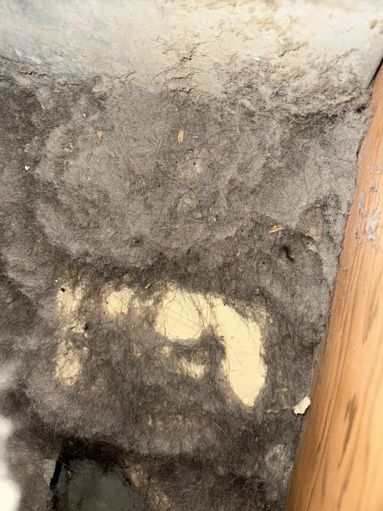 Slide of Scrubber Ducts