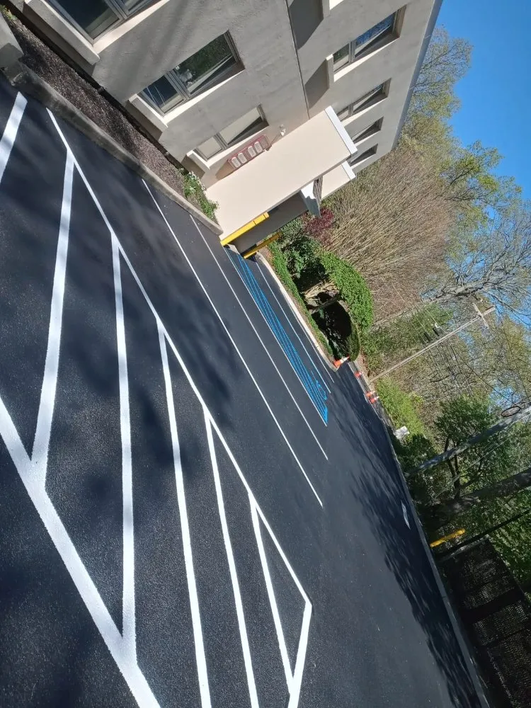 Slide of Sealcoat saravia rubi