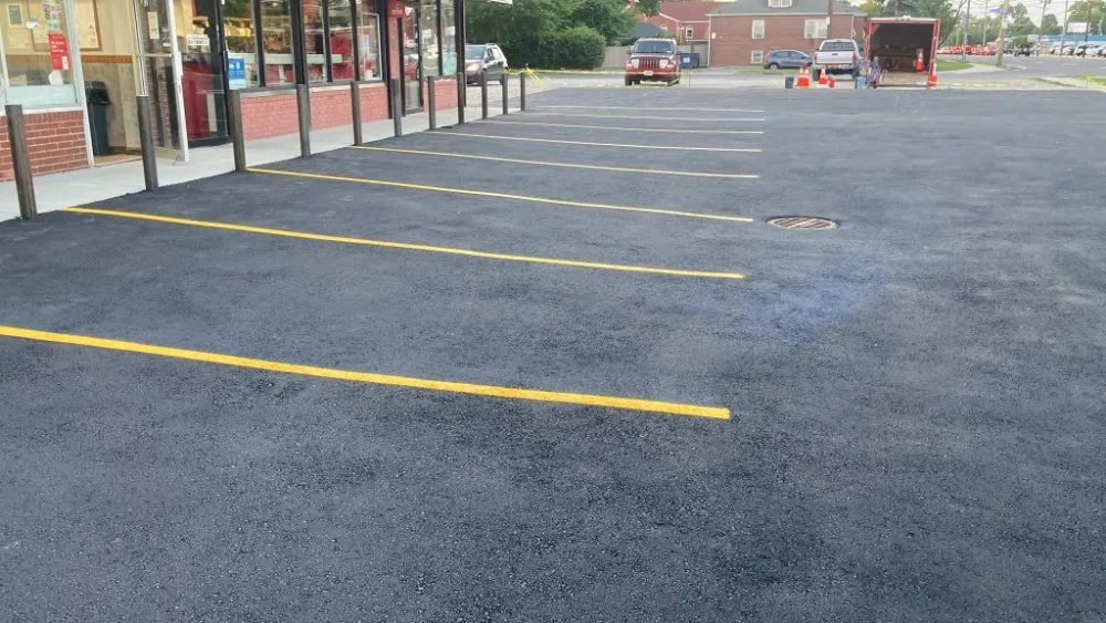 Slide of Sealcoat saravia rubi