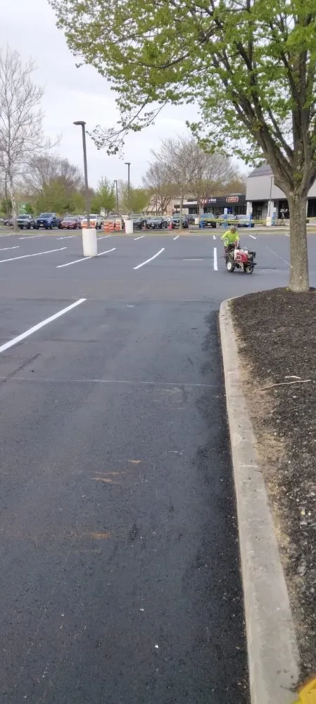 Slide of Sealcoat saravia rubi