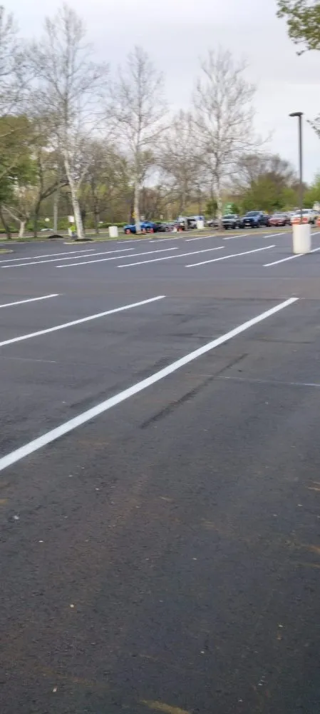 Slide of Sealcoat saravia rubi