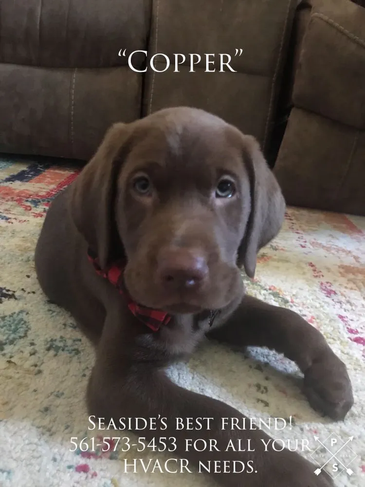 Slide of Seaside Air Services