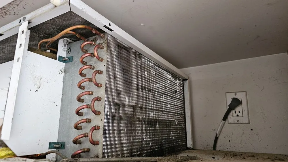 Slide of Second Life