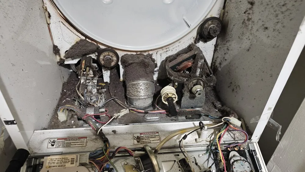 Slide of Second Life