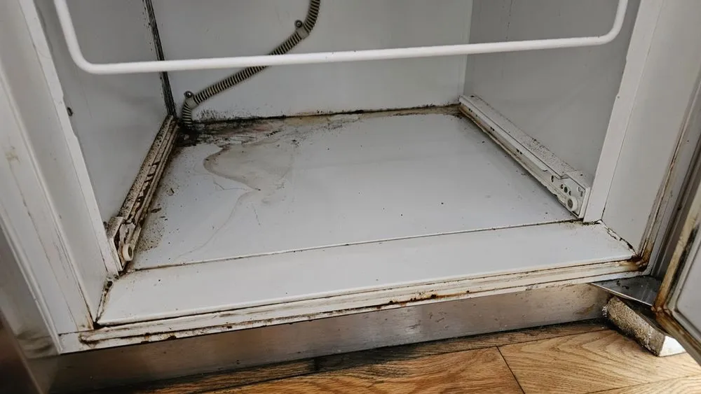 Slide of Second Life