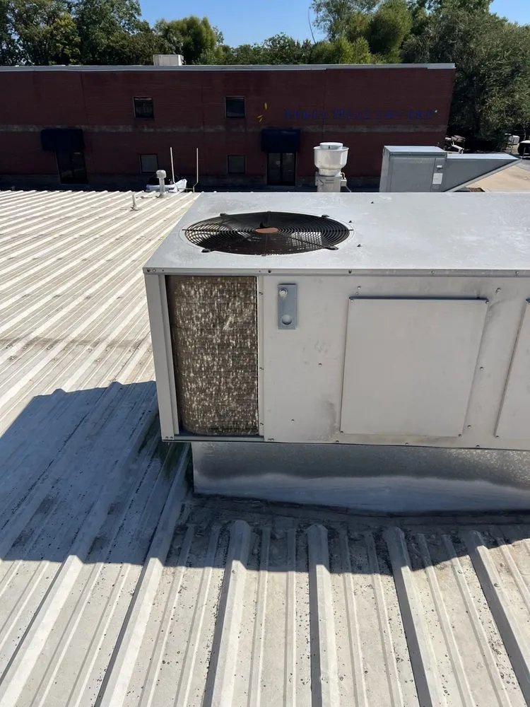 Slide of Second Opinion