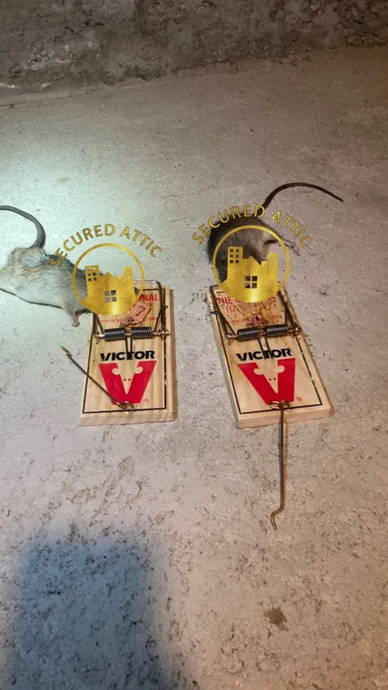 Slide of Secured Attic