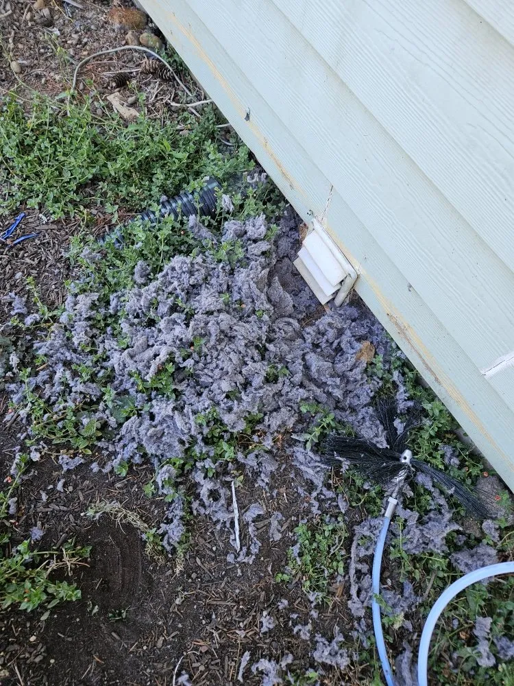 Slide of See The Future