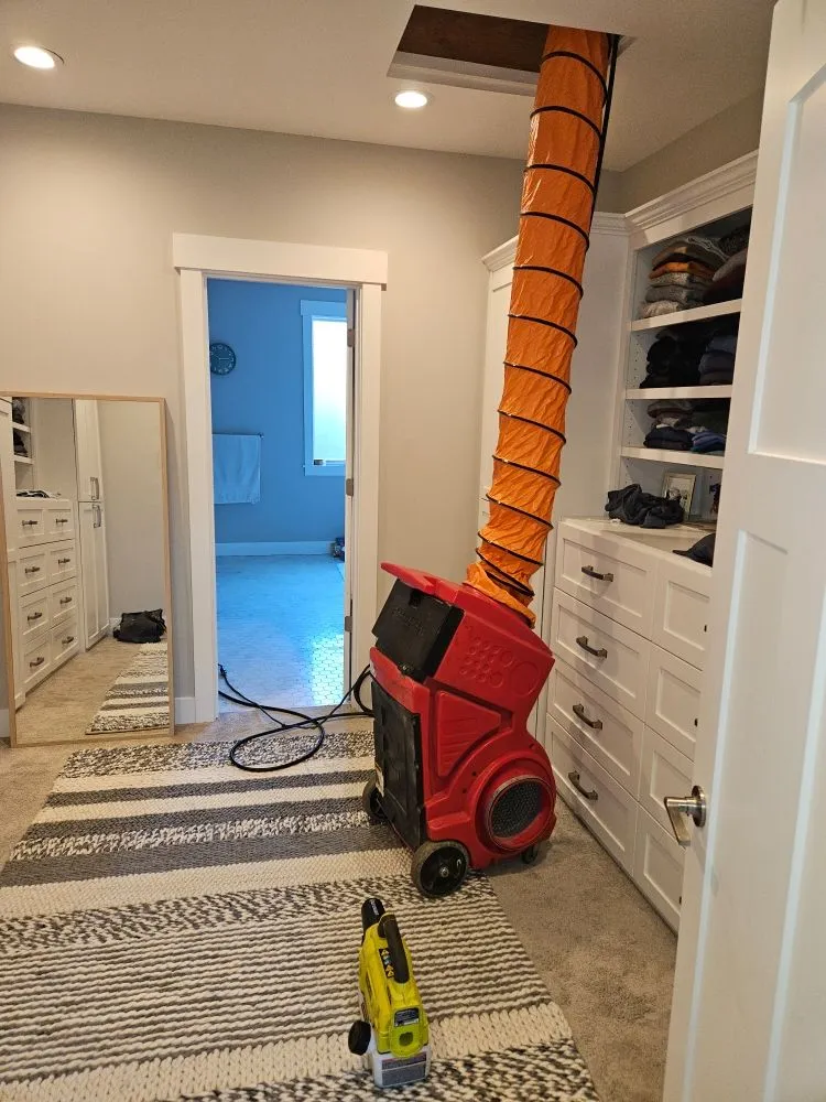 Slide of See The Future