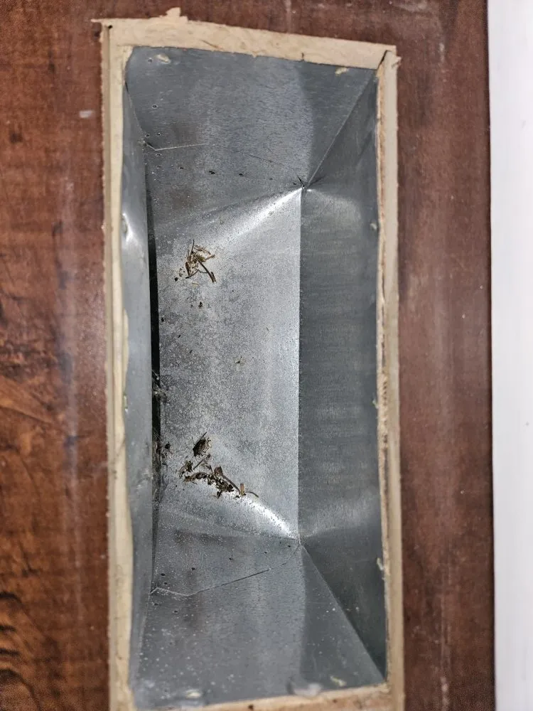 Slide of See The Future