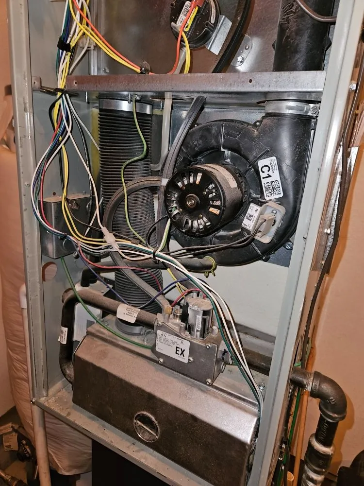 Slide of See The Future