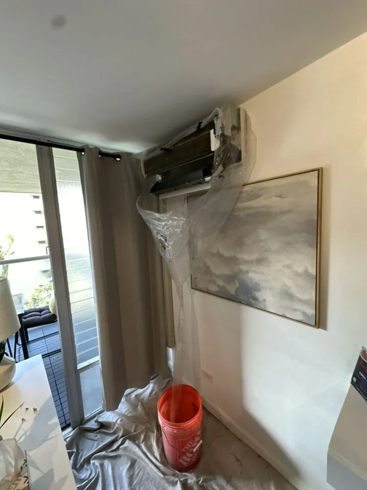 Slide of Selbor Hawaii