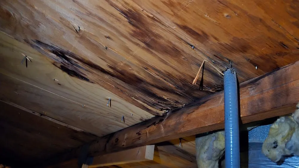 Slide of Semper Fi Heating & Cooling