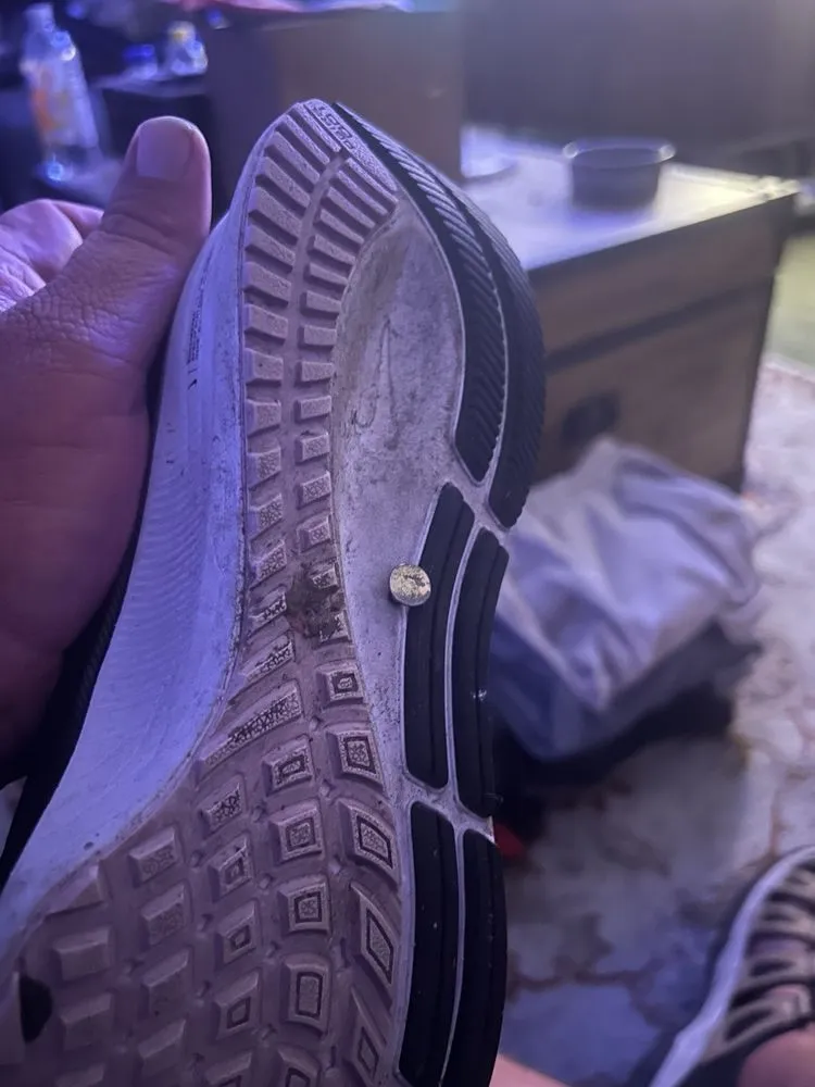 Slide of Semper Solaris