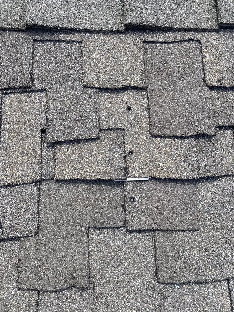 Slide of Semper Solaris