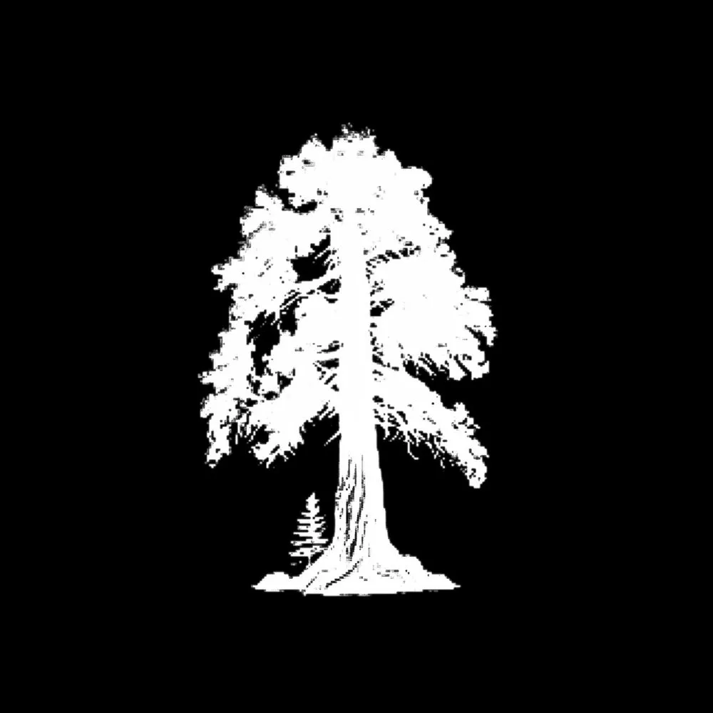 Slide of Sequoia RV Service