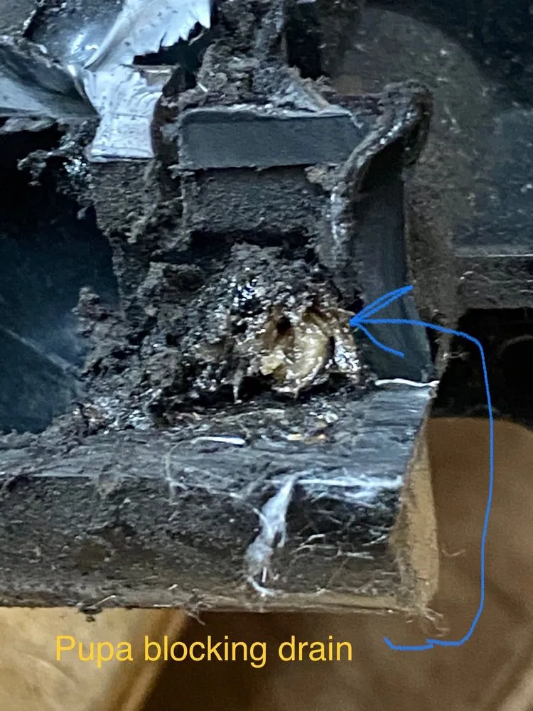 Slide of Service Experts Heating & Air Conditioning