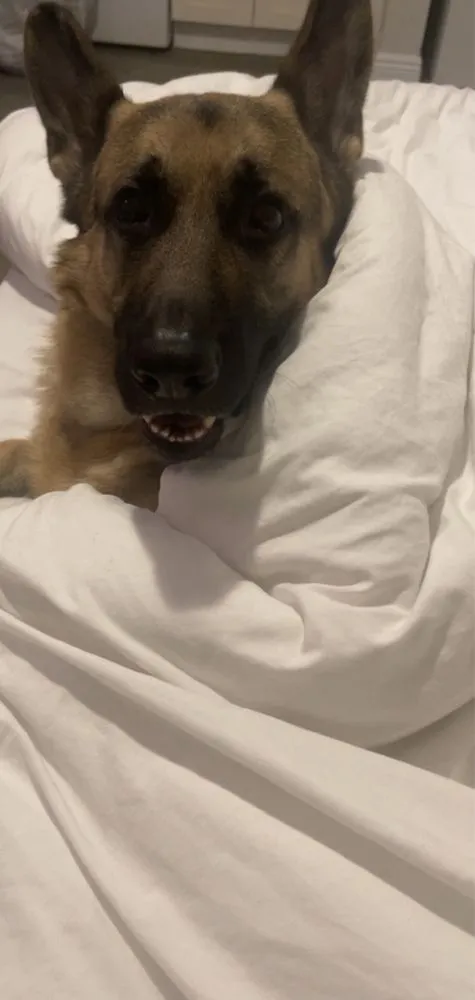 Slide of Service Experts Heating & Air Conditioning