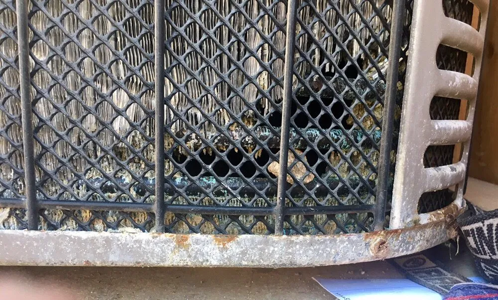 Slide of Service King