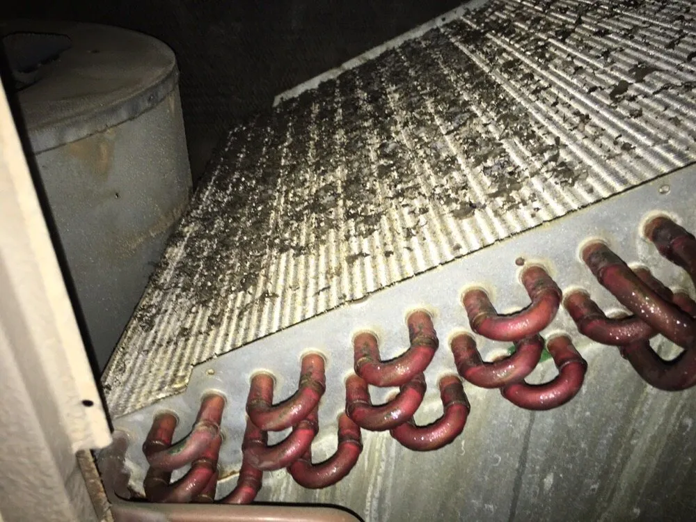 Slide of Service King