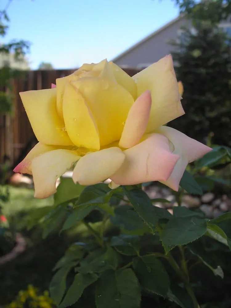 Slide of Service Network Plumbing & Heating