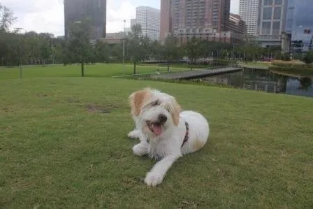 Slide of Service Patriots