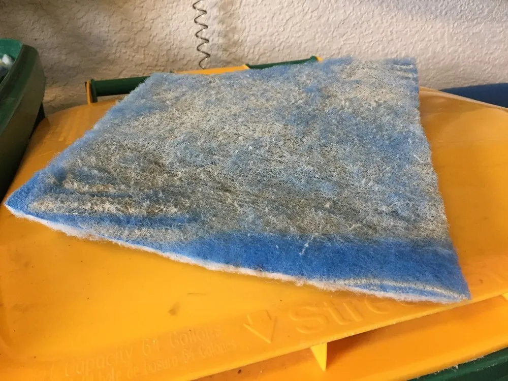 Slide of Service Professionals of Florida