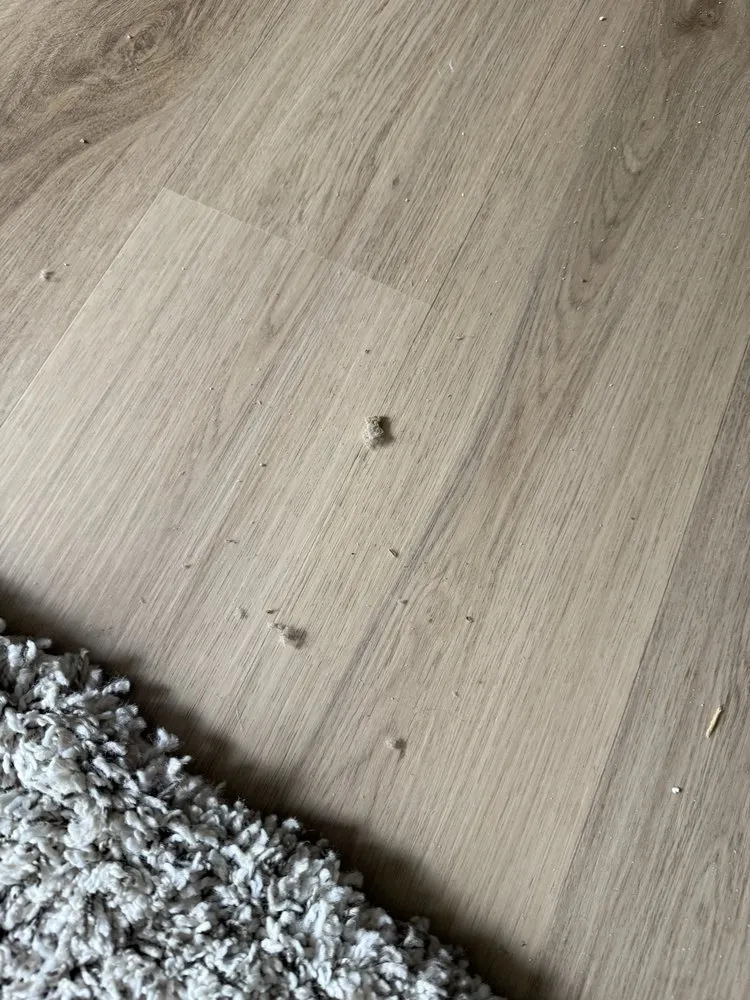 Slide of Service Professor