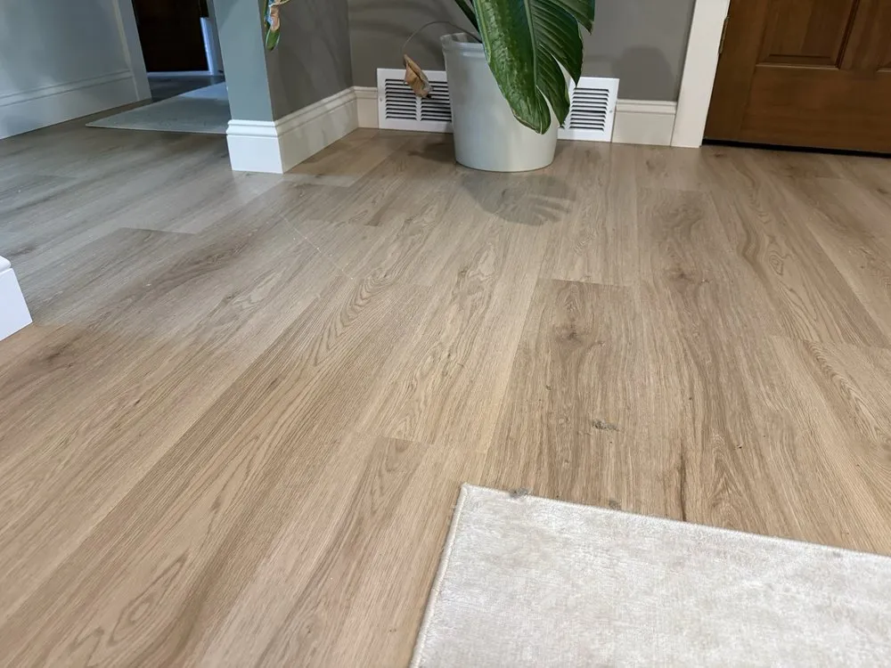 Slide of Service Professor