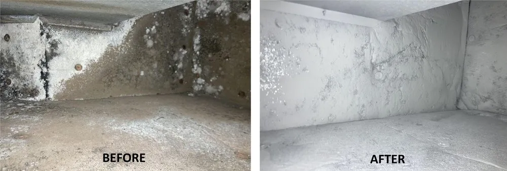 Slide of Service-Tech