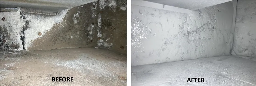 Slide of Service-Tech