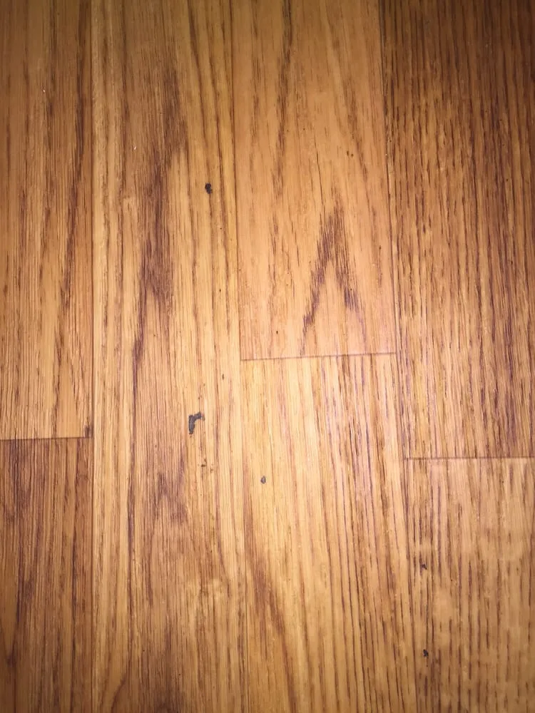 Slide of ServiceMaster Cleaning & Restoration by NEK - Lawrence