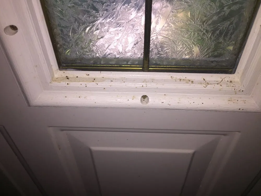 Slide of ServiceMaster Cleaning & Restoration by NEK - Lawrence