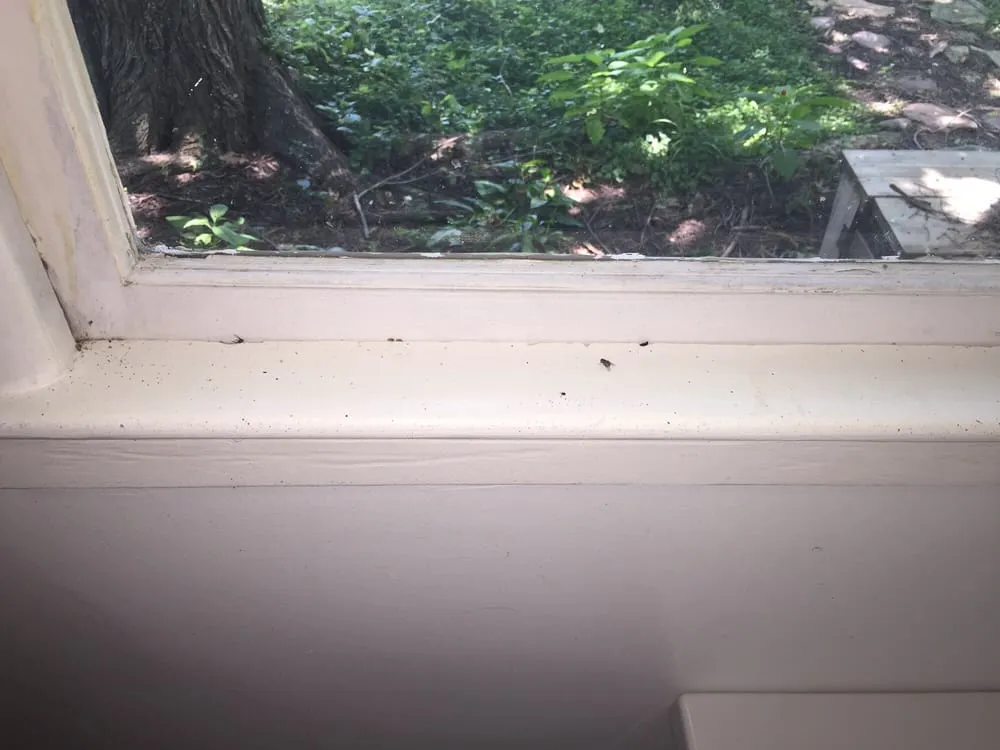 Slide of ServiceMaster Cleaning & Restoration by NEK - Lawrence