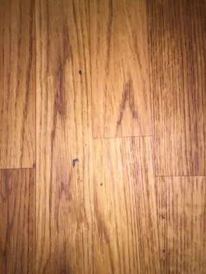 ServiceMaster Cleaning & Restoration by NEK - Lawrence Logo