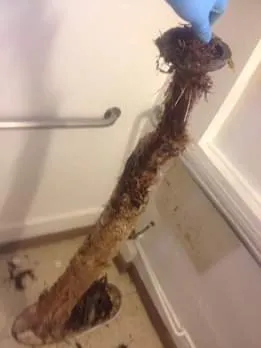 Slide of ServiceNow! Plumbing HVAC Solar