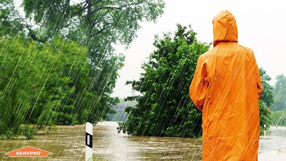 Slide of SERVPRO of Bowie