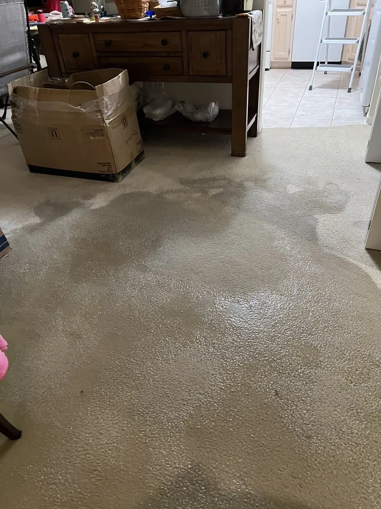 Slide of SERVPRO of Chicago Heights/Crete/Beecher