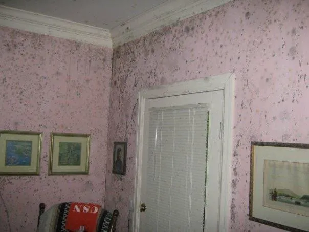 Slide of SERVPRO of Haywood & Transylvania Counties