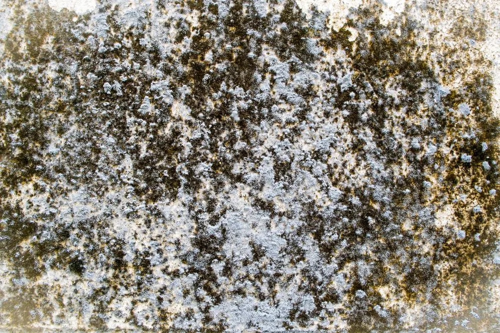 Slide of SERVPRO of Haywood & Transylvania Counties