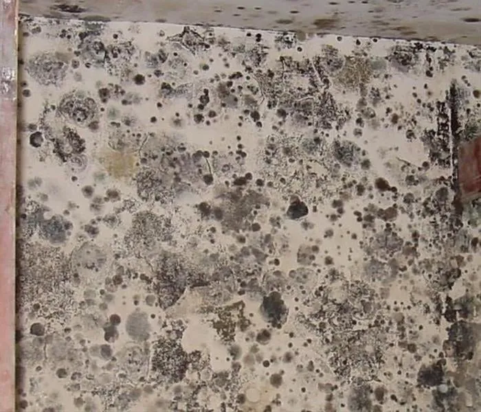 Slide of SERVPRO of Meriden