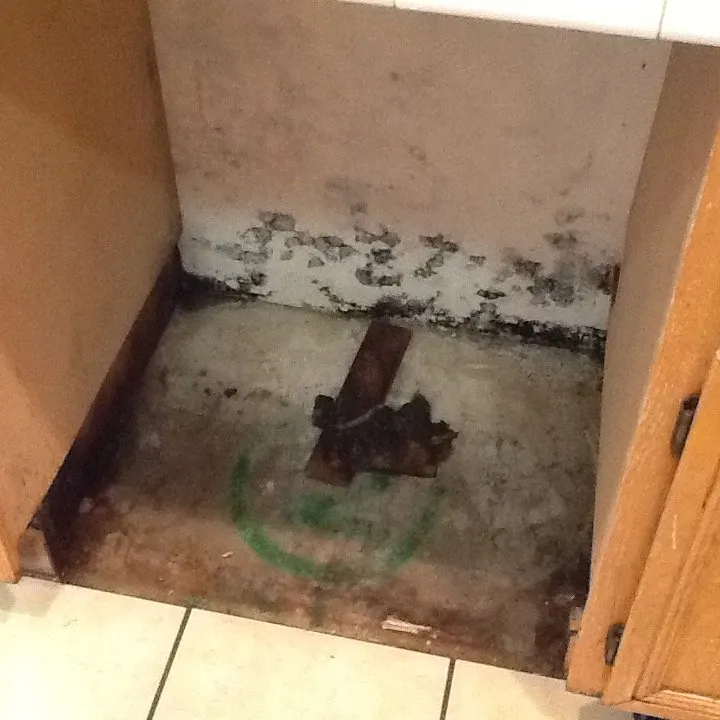 Slide of SERVPRO of North San Bernardino City