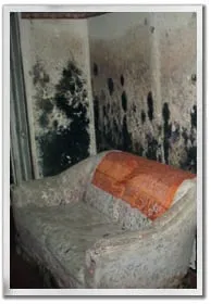 Slide of SERVPRO of Sugar Land