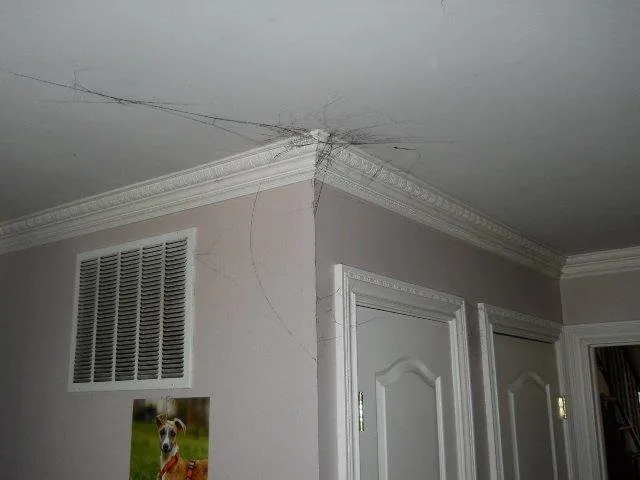 Slide of SERVPRO of SW San Jose