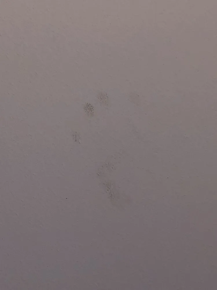 Slide of SERVPRO of Texarkana