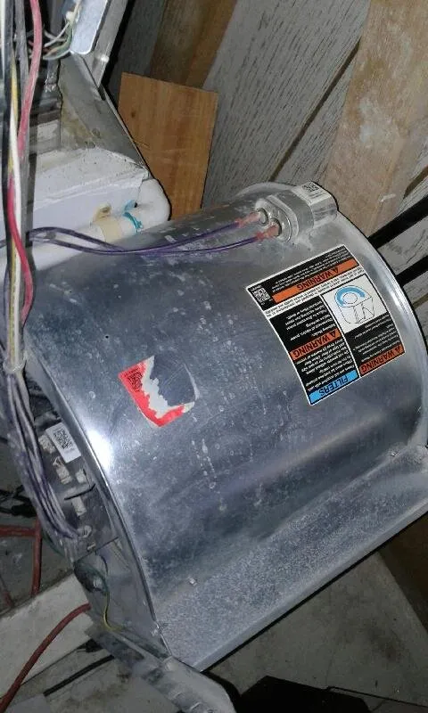 Slide of SFV Everlast AC