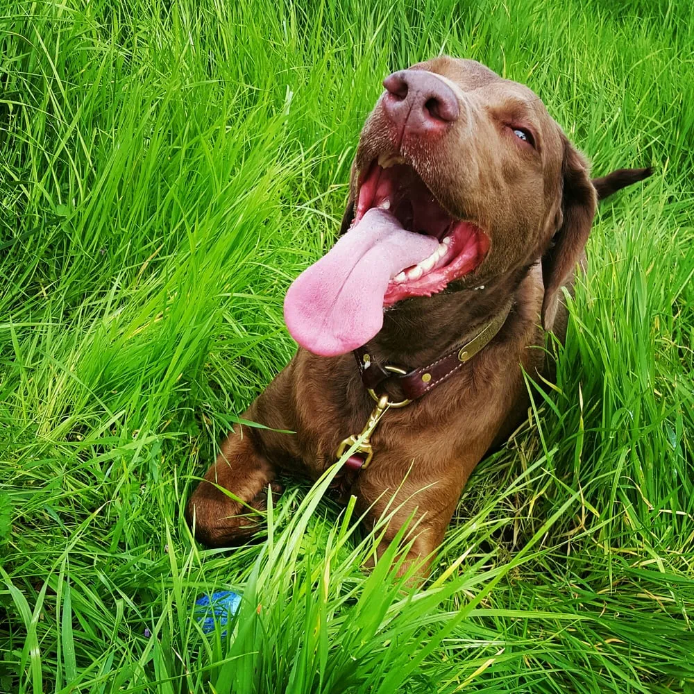 Slide of SH Mechanical